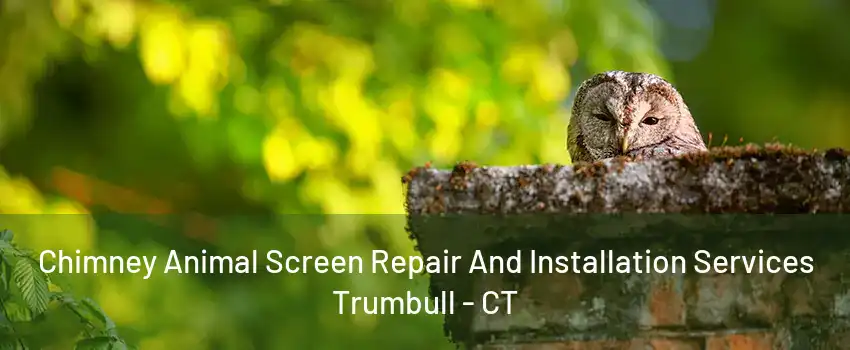 Chimney Animal Screen Repair And Installation Services Trumbull - CT