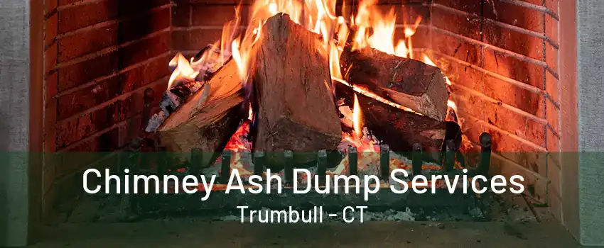 Chimney Ash Dump Services Trumbull - CT