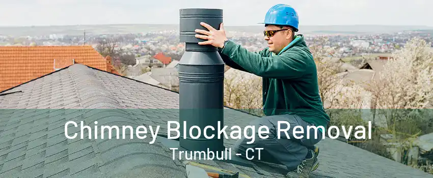 Chimney Blockage Removal Trumbull - CT