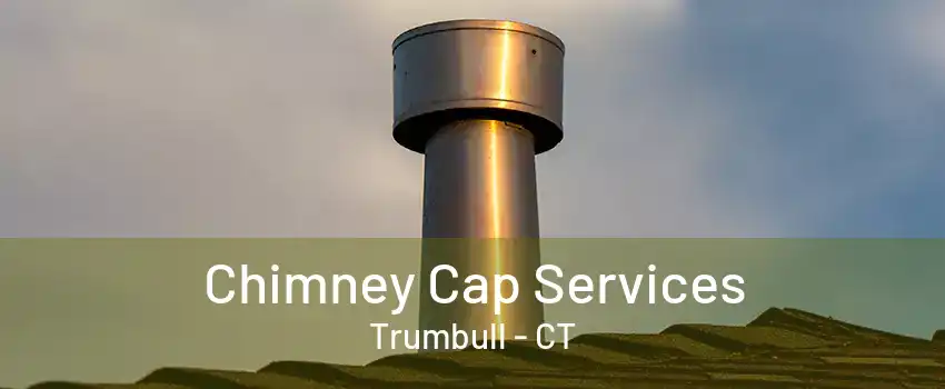 Chimney Cap Services Trumbull - CT