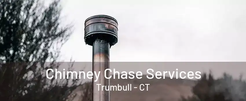 Chimney Chase Services Trumbull - CT