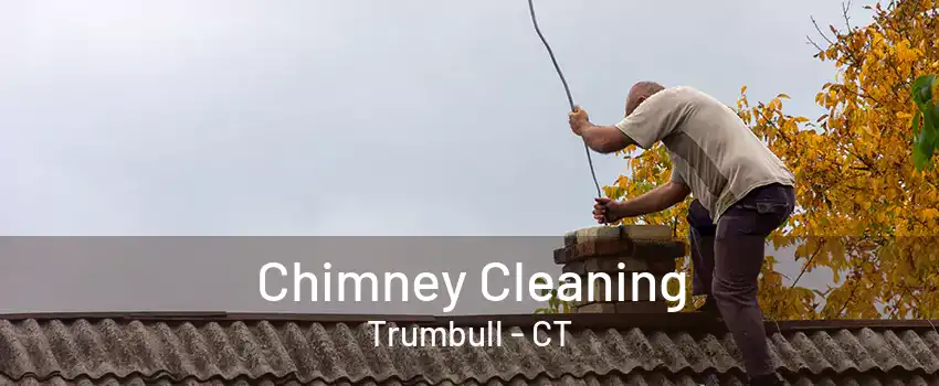 Chimney Cleaning Trumbull - CT