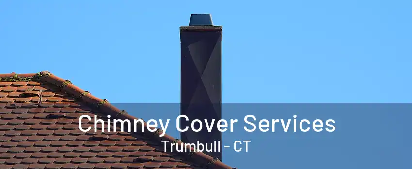 Chimney Cover Services Trumbull - CT