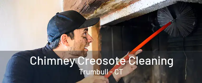 Chimney Creosote Cleaning Trumbull - CT