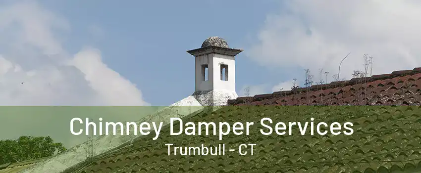 Chimney Damper Services Trumbull - CT