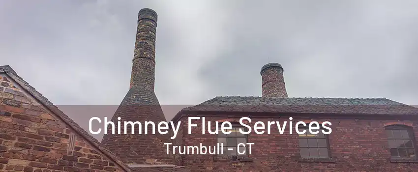 Chimney Flue Services Trumbull - CT