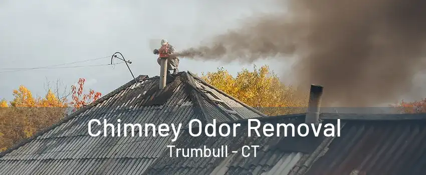 Chimney Odor Removal Trumbull - CT