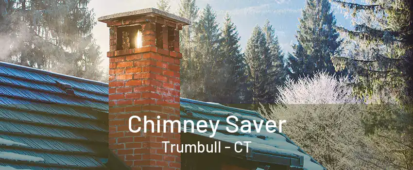 Chimney Saver Trumbull - CT