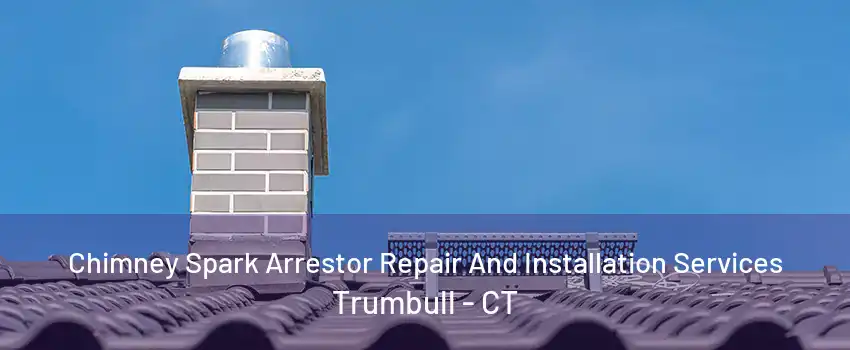 Chimney Spark Arrestor Repair And Installation Services Trumbull - CT