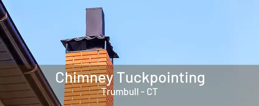 Chimney Tuckpointing Trumbull - CT