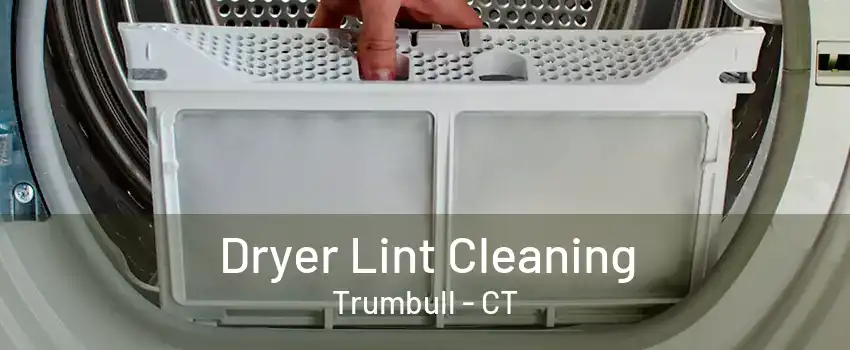 Dryer Lint Cleaning Trumbull - CT