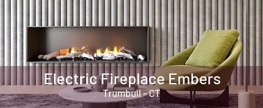 Electric Fireplace Embers Trumbull - CT