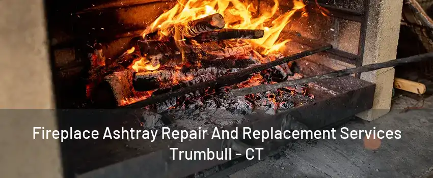 Fireplace Ashtray Repair And Replacement Services Trumbull - CT