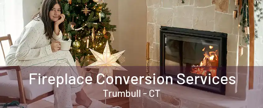 Fireplace Conversion Services Trumbull - CT