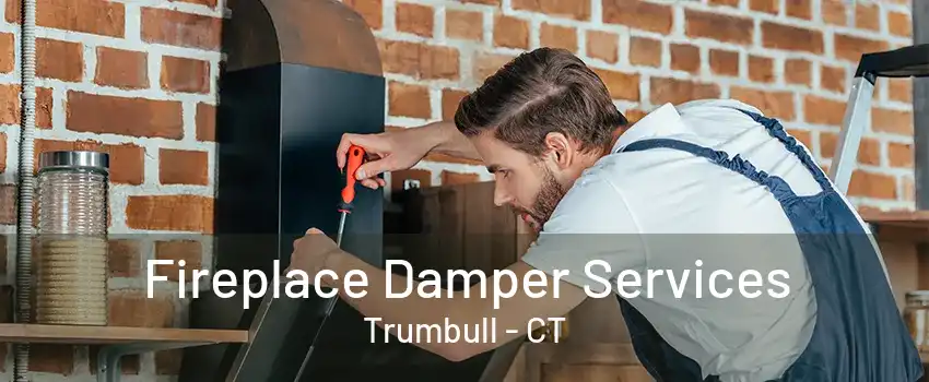 Fireplace Damper Services Trumbull - CT