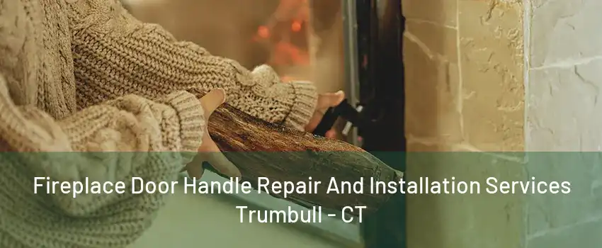 Fireplace Door Handle Repair And Installation Services Trumbull - CT