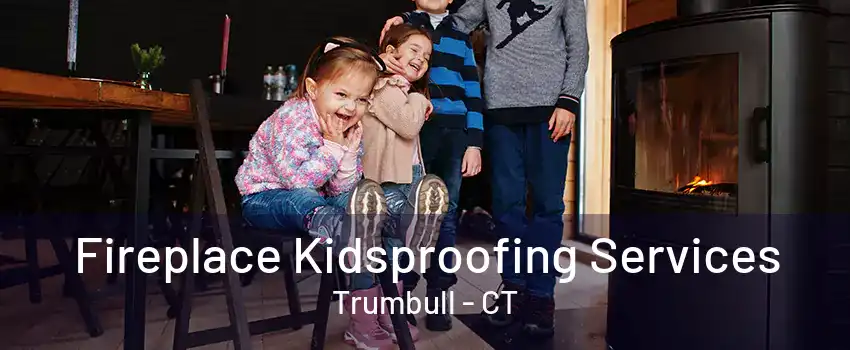 Fireplace Kidsproofing Services Trumbull - CT