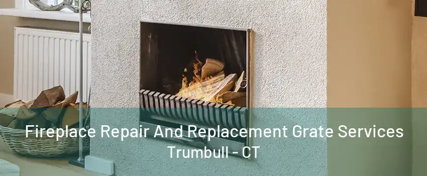 Fireplace Repair And Replacement Grate Services Trumbull - CT