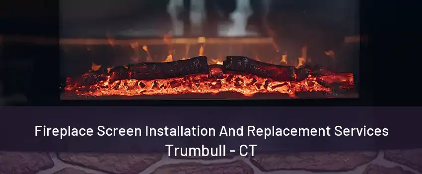 Fireplace Screen Installation And Replacement Services Trumbull - CT