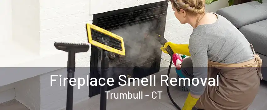 Fireplace Smell Removal Trumbull - CT