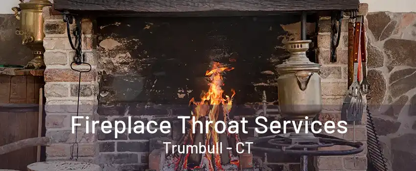 Fireplace Throat Services Trumbull - CT