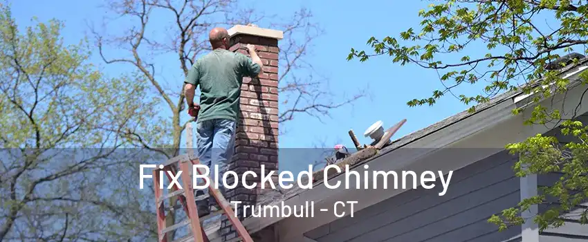 Fix Blocked Chimney Trumbull - CT