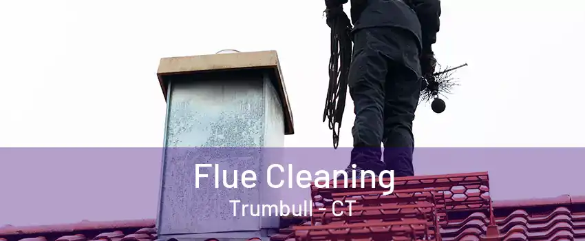 Flue Cleaning Trumbull - CT