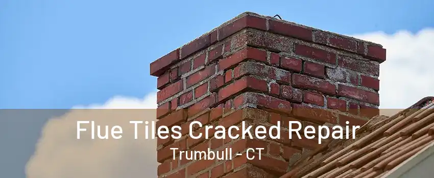 Flue Tiles Cracked Repair Trumbull - CT