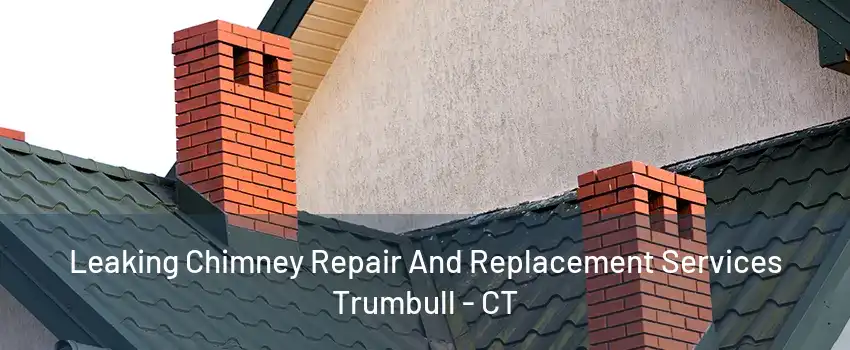 Leaking Chimney Repair And Replacement Services Trumbull - CT