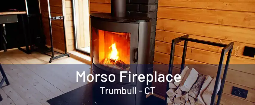 Morso Fireplace Trumbull - CT