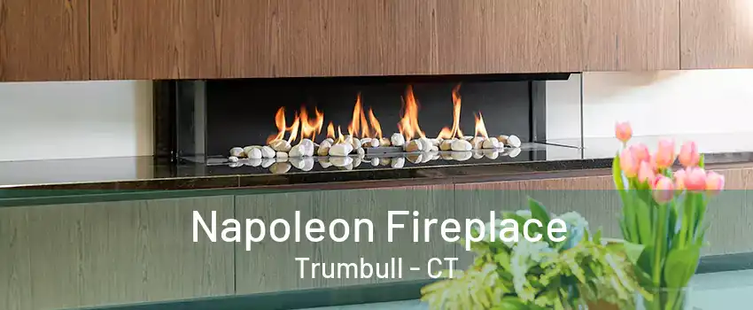 Napoleon Fireplace Trumbull - CT