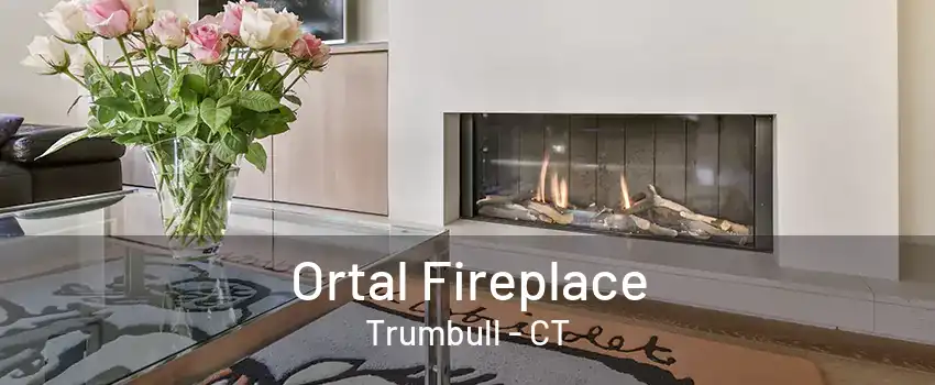 Ortal Fireplace Trumbull - CT