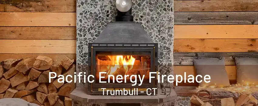 Pacific Energy Fireplace Trumbull - CT