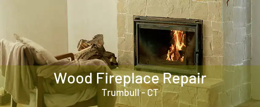 Wood Fireplace Repair Trumbull - CT