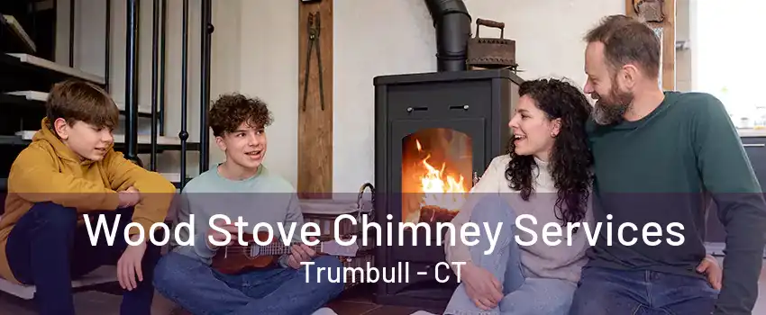 Wood Stove Chimney Services Trumbull - CT