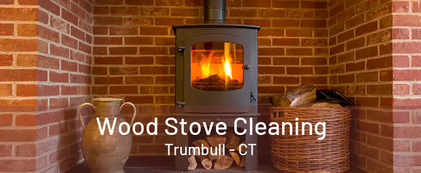 Wood Stove Cleaning Trumbull - CT