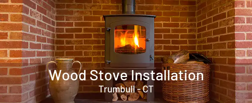 Wood Stove Installation Trumbull - CT