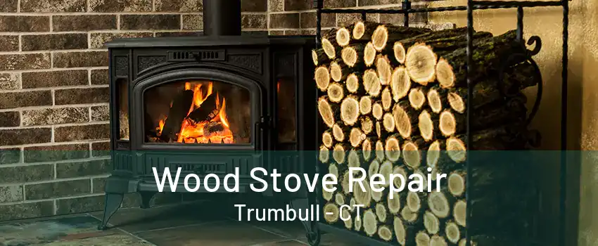 Wood Stove Repair Trumbull - CT